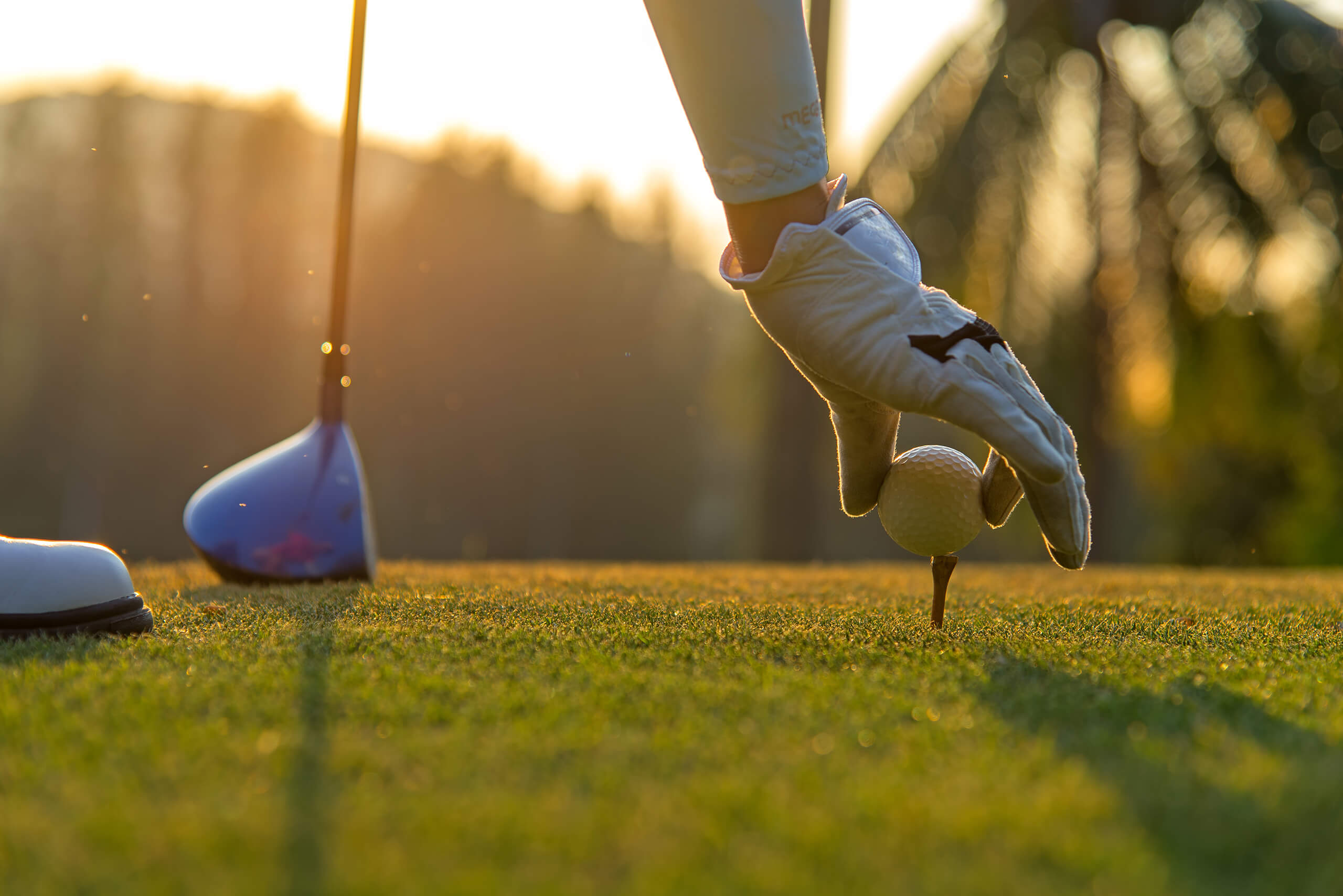 Dramatic Shot of Golfer Placing Ball on Tee